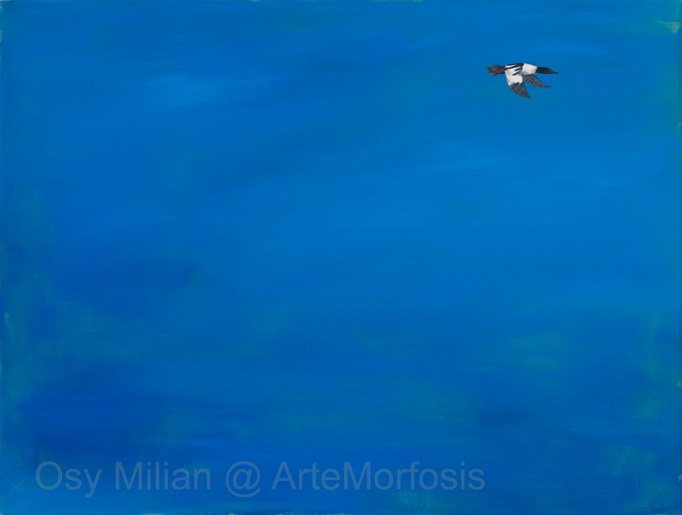 OSY MILIAN - Dimension no geografica, Acrilico/lienzo, 60 x 80 cm, 2016